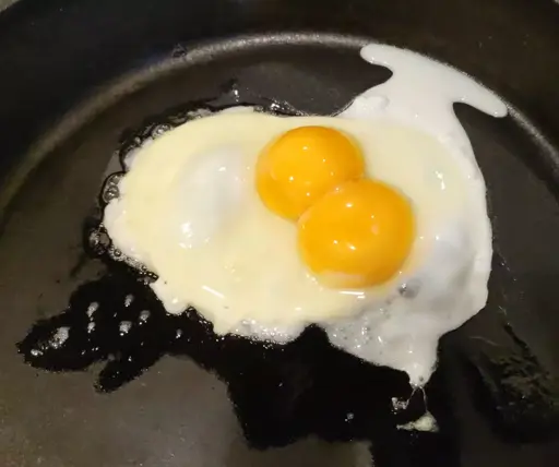 Frying pan with a fried egg that has two yolks